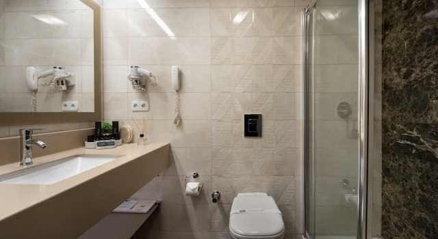 Номер Deluxe The Wings Hotels Ankara - Neva Palas