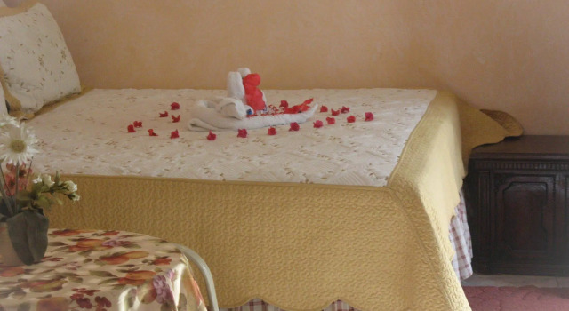 Executive Shaw Park Guest House