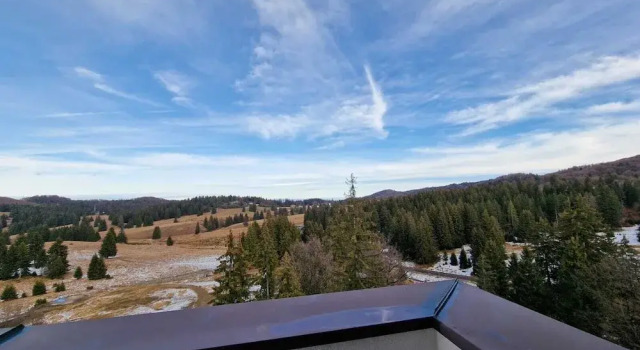 Номер Standard Пентхаус Elexus Apartments Poiana Brasov
