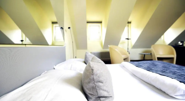 Номер Standard Hotel Ottheinrich