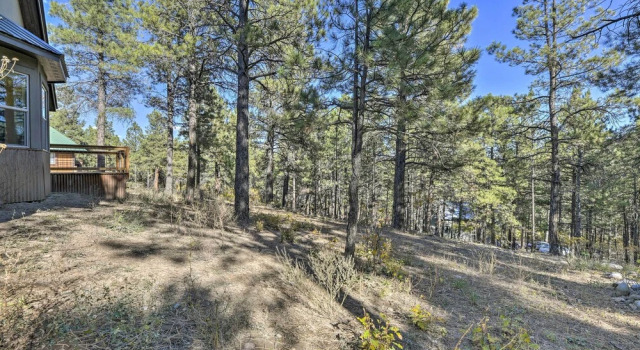 Pagosa Springs Retreat ~ 6 Miles to Hot Springs!