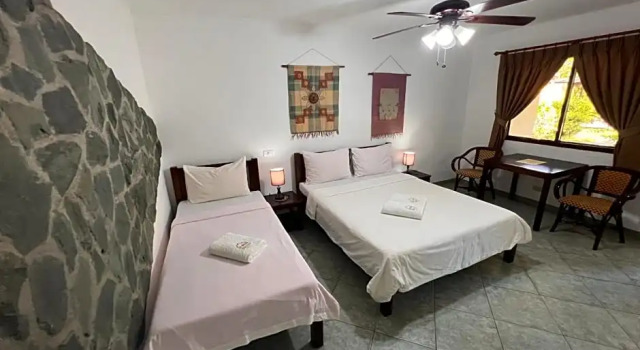Бунгало с видом на сад Alona Swiss Resort