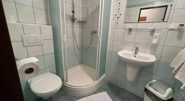 Двухместный номер Standard Wellness penzion U Grygarů