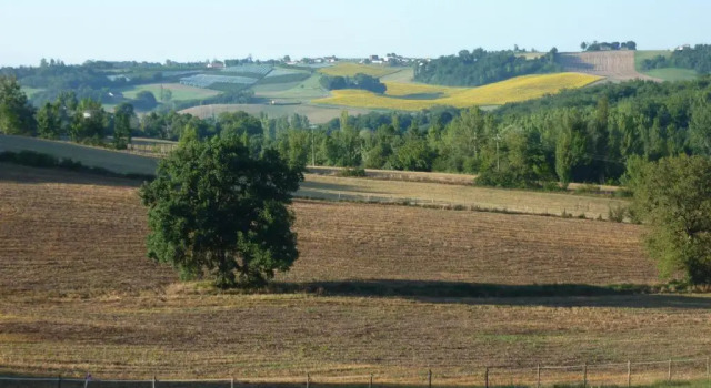 Коттедж Domaine de Massoulac