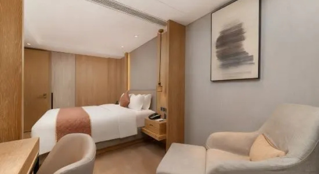 Семейный люкс Shenzhen FY Hotel