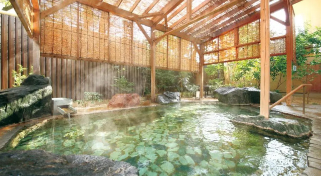 Номер Standard Ooedo Onsen Monogatari Premium Ito Hotel New Okabe