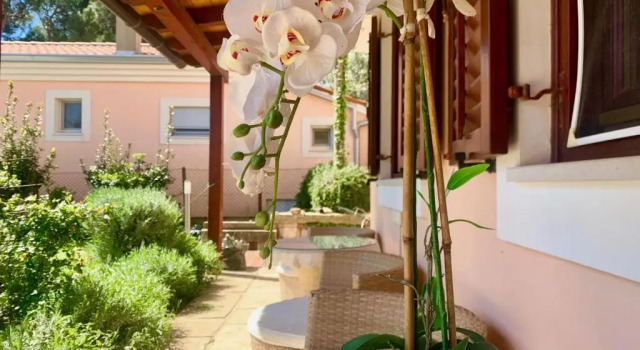 Номер Standard Apartment Lotus in Premantura, Istria by Istrabook