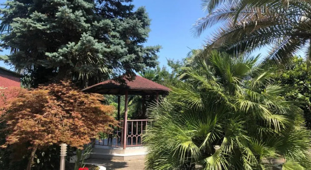 Номер Standard Green Garden Hotel