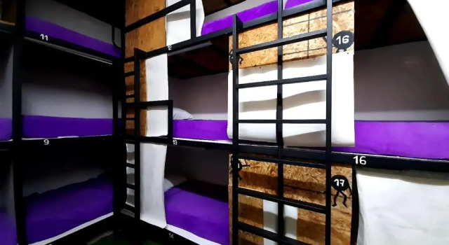 Кровать в общем номере Hostel la Antigua Capsula