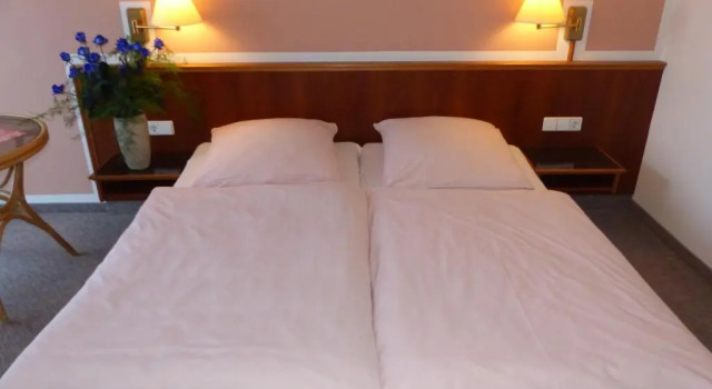 Двухместный номер Standard Hotel Dorotheenhof