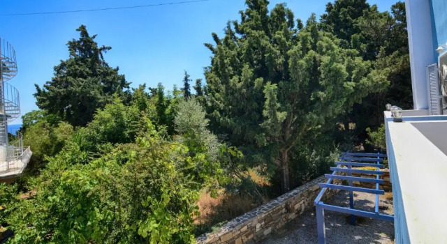 Номер Standard Peskesi Ikaria
