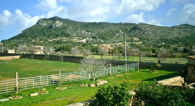 Студия Цокольный этаж Finca Can Paulino