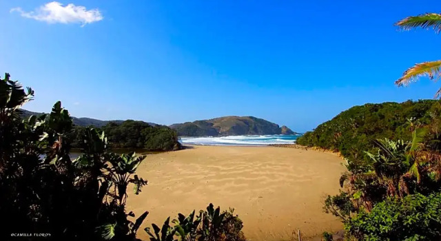 The Lodge on the Beach, Забронировать Отель Порт-Сент-Джон Wild Coast