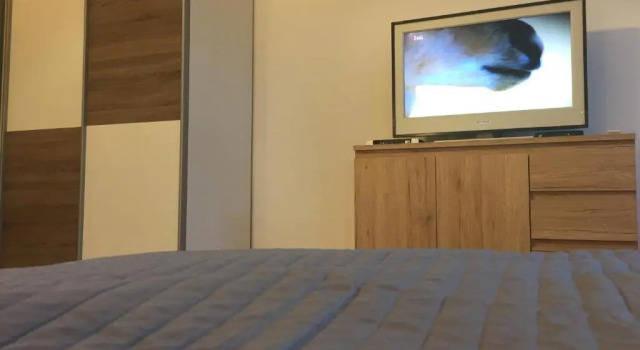 Студия Charmante Altbauapartments Apostelgasse