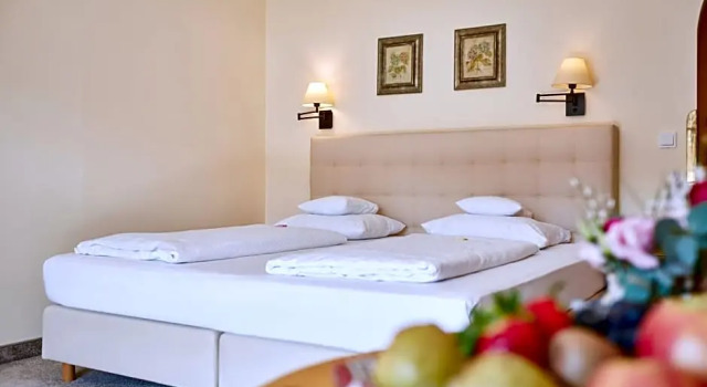 Номер Deluxe Hotel Zugspitze