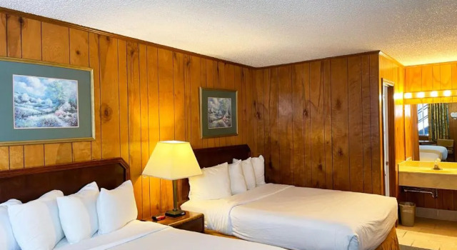 Номер Deluxe Forest Springs Resort