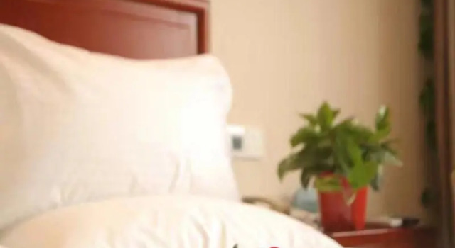 Люкс Business GreenTree Inn ShangQiu Normal College Wenhua(W)Road Business Hotel West Road Branch