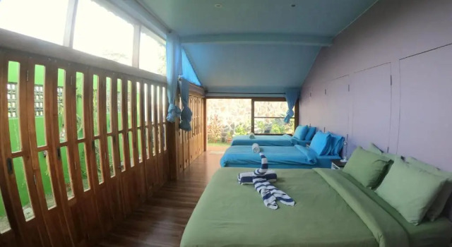 Camera Standard Blue Coco