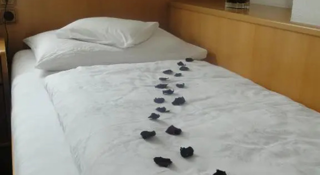 Номер Standard Hotel Theresia