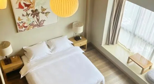 Люкс Dayin Jingshe hotel