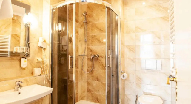 Двухместный номер Standard Hotel Silesia