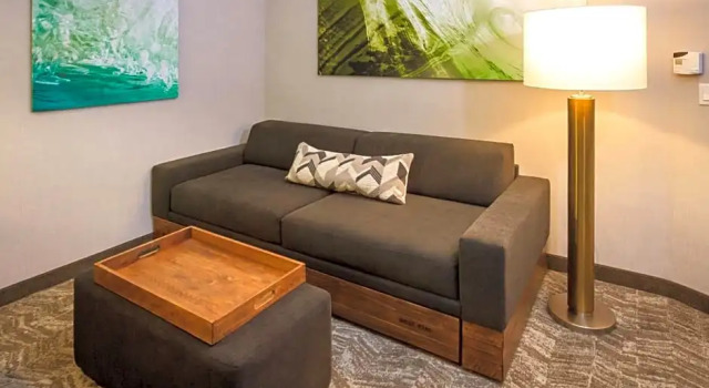 Четырёхместный люкс с видом на океан SpringHill Suites by Marriott The Dunes On Monterey Bay