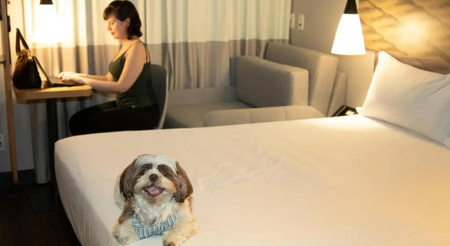 Двухместный номер Standard ibis Sao Paulo Tatuape