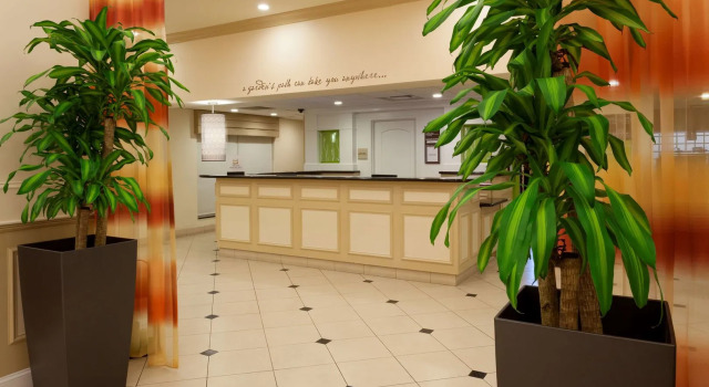 Hilton Garden Inn Gainesville, Rezerwuj Hotel Hotele 3-gwiazdkowe w Gainesville, 3*