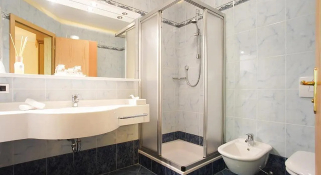 Двухместный номер Comfort Sonnenhotel Adler Spa & Nature Adults only