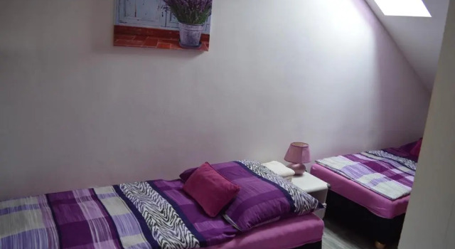 Номер Standard Guest House Haklův Mlýn