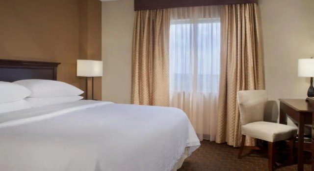 Двухместный люкс Premium с 2 комнатами Embassy Suites by Hilton Austin Arboretum