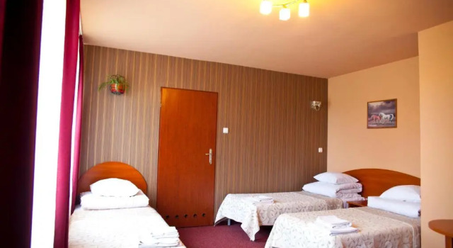 Трёхместный номер Standard Hotel Horyzont