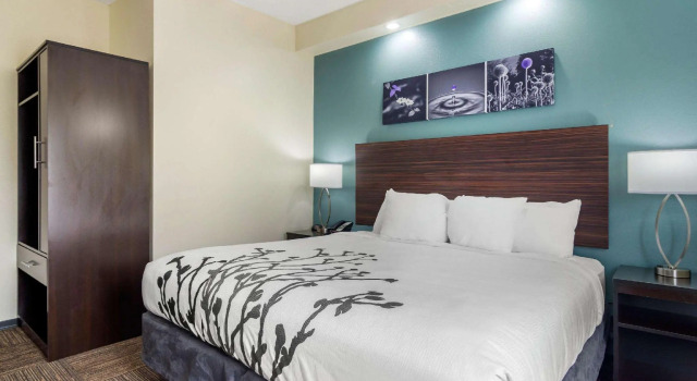 Двухместный номер Standard Comfort Inn Marietta-Atlanta near Ballpark-Galleria
