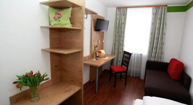 Одноместный номер Standard Gasthof-Hotel Höhensteiger