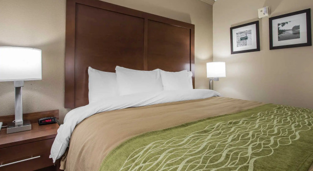 Номер Standard Spark By Hilton Jackson Ridgeland