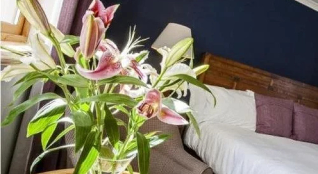 Sutherlands Guest House, Забронировать Гостевой дом Гостевые дома Кингасси, рядом с Этнографический музей Хайленда, Гостевой дом