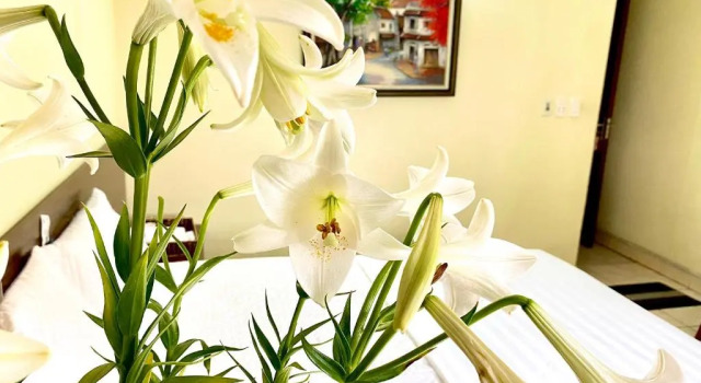 Двухместный номер Standard Hotel Kien Nga