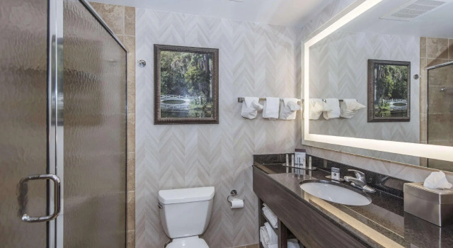 Двухместный номер Standard DoubleTree by Hilton North Charleston - Convention Center