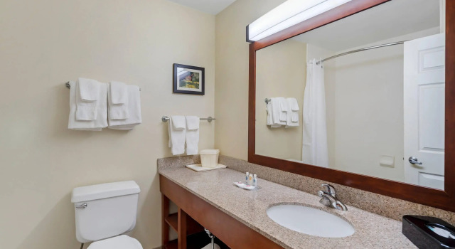 Четырёхместный люкс Comfort Suites Normal University area