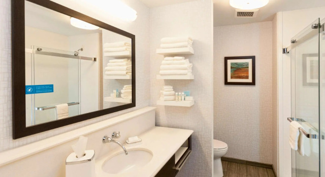 Четырёхместный номер Standard Hampton Inn & Suites Duluth North/Mall Area