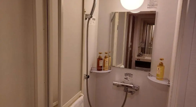 Двухместный номер Economy Dormy Inn Premium Nagoya Sakae