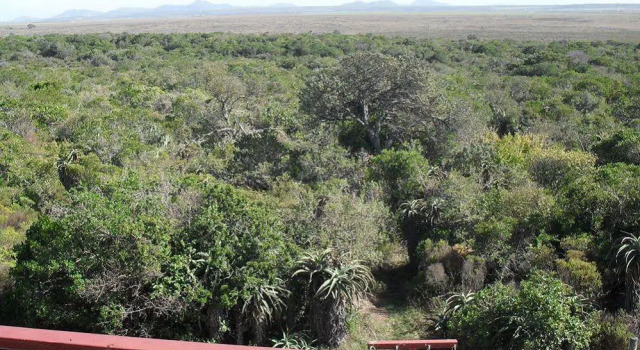 Saruna Guesthouse