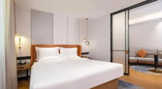 Двухместный люкс Business Cheermay Hotels（Shanwei Second Street Branch）