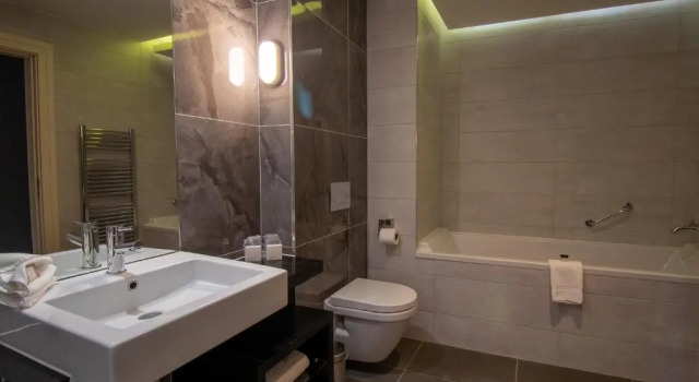 Двухместный номер Deluxe Fota Island Hotel & Spa