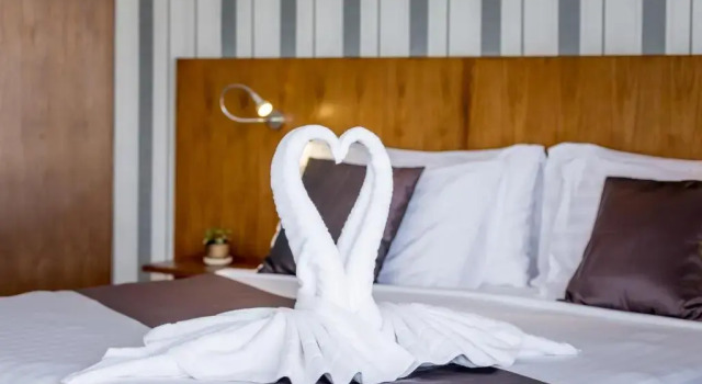 Двухместный номер Standard Цокольный этаж Beluga Boutique Hotel