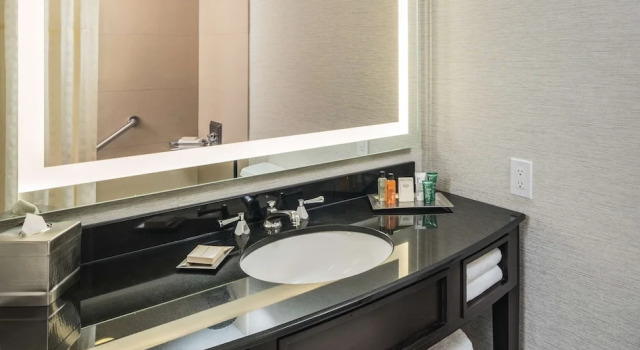 Полулюкс The Saratoga Hilton