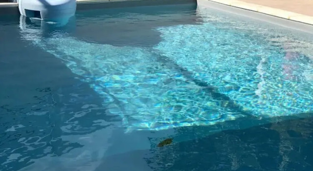Sunshayn House & Cars Rental, Prenota Hotel Hotel a Grande-Terre con piscina, Piscina