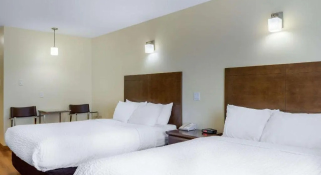 Люкс Quality Inn & Suites
