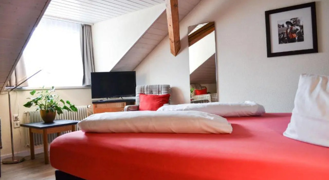 Двухместный номер Deluxe Hotel Landhaus Säntis Herisau