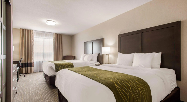Четырёхместный номер Standard Comfort Inn & Suites